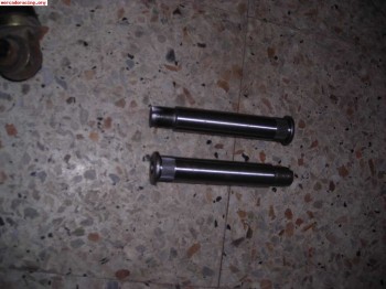 Bujes traseros saxo disco