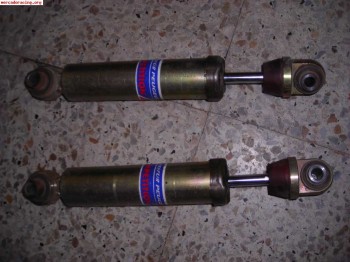 Amortiguadores.tras. 206 desafio frances