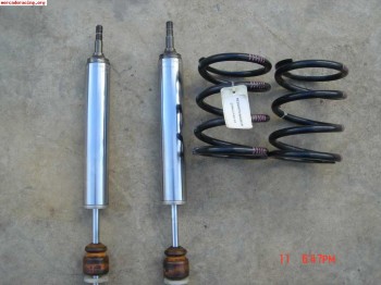 Botellas bilstein clio sport