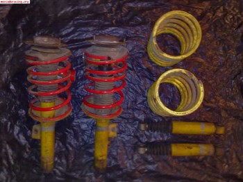 Suspension bilstein bastago gordo 205