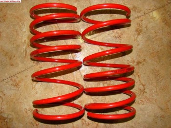 Muelles selex -3,5cm para 207