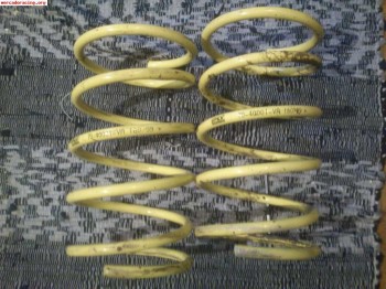 Muelles apex para citroen saxo