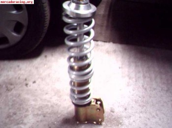 Suspensión selex gold