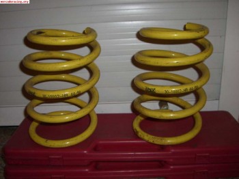 Muelles apex -4 cm para fiat uno.