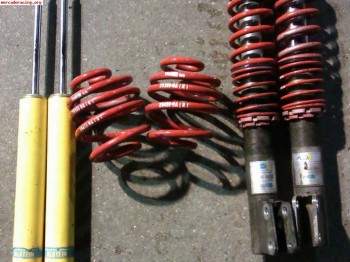 Bilstein roscada y bastago gordo para clio sport