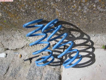 Se venden muelles eibach originales del trofeo de ralys