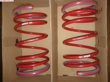 Muelles cortos eibach sportline 106 gti con papeles de homol