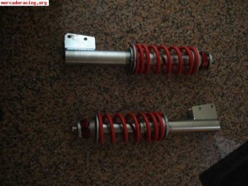 Suspension grupoa clio williams