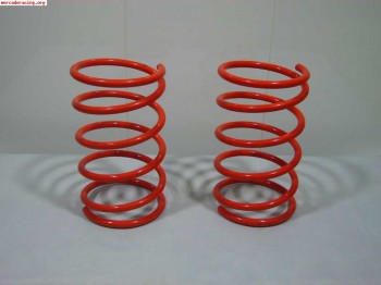 Muelles -3.5 205 rllye homologados