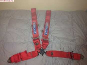 Arnes caducado 3  49€