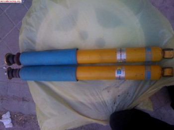 Suspension blistein   eibach renault 19 16v nueva