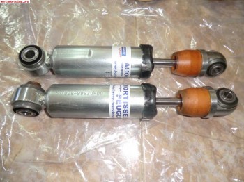 Amortiguacion trasera pts grupo a