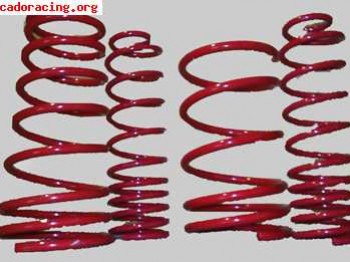 Kit de muelles cobra 569924