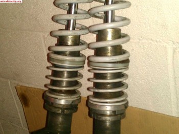 Suspension roscada clio sport 172