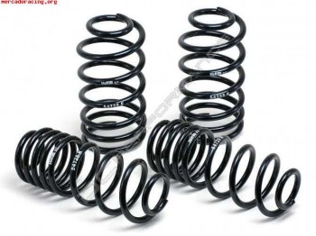 Muelles h&r clio sport ii