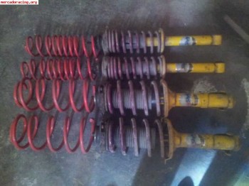 Lip sport para ibiza, cordoba, golf. . .