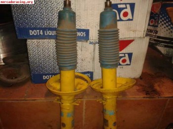 Blistein para seat leon fr