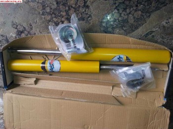 Suspension lip sport con eibach a estrenar citroen saxo 