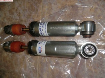 Amortiguacion trasera pts grupo a