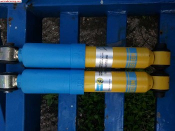 Suspension trasera blistein psa