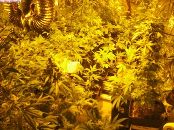 Cuna y cremallera de direccion 