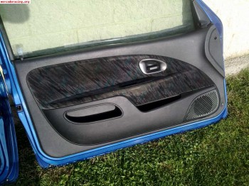 Puertas y porton saxo