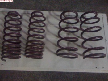 Vendo estos muelles deportivos 50 euros los cuatro