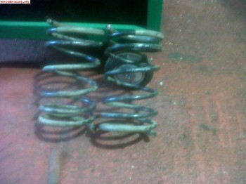 Eibach para saxo/106