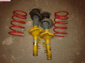 Blistein bastago gordo para 205 rallye