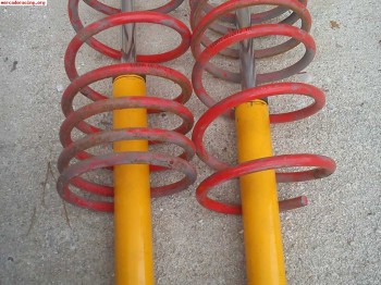 Se vende bastagos  kony y muelles 205 gti