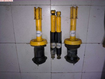 Selex amarilla corsa a,b,tigra..