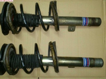 Suspension pts para 206 