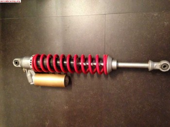 Proflex traseros xtrem (carcross)