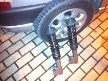 Suspension bilstein bastago gordo clio sport (frenosil)