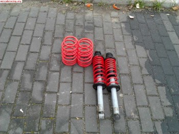 Muelles cobra ibiza cordoba polo. .