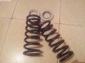 Muelles eibach estrechos (tecnoshock)