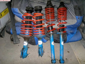 Amortiguacion selex   h&r