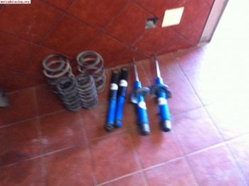 Suspension selex de c2