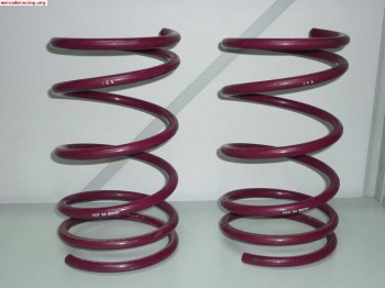 Busco aletin delantero copiloto saxo vts, muelles homologado