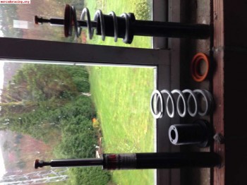 Amortiguacion roscada saxo vts