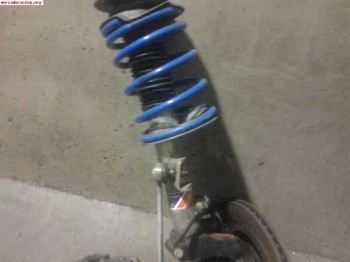 Suspension pts para 205