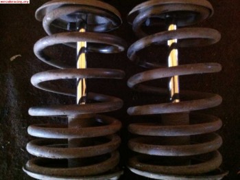 Muelles h&r para clio sport 172