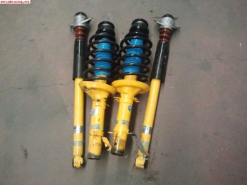 Suspension bilstein vastago gordo