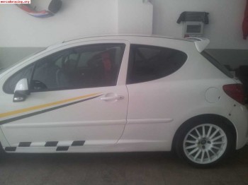 Suspension 207 thp circuitos,montaña,tandas o para calle