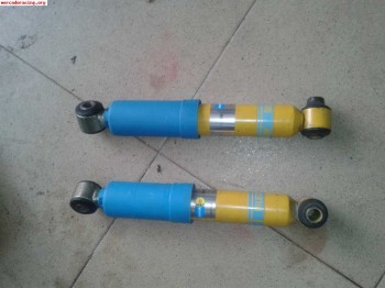 Suspension trasera blistein psa