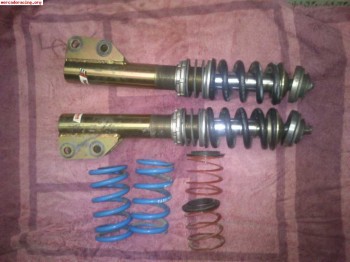Suspension clio cup tecnoshock