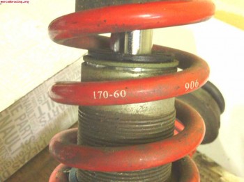 Suspension roscada clio sport