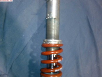 Amortiguadores bilstein seat leon 