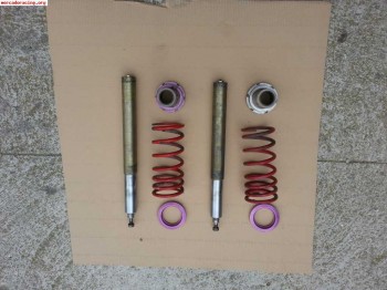 Suspension pts tope n para 106/saxo/ ax