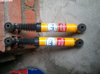 Amortiguacion trasera de 205 